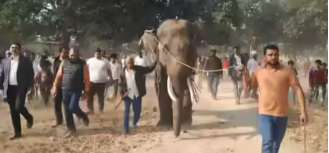 मां की इच्छा पर प्रतापगढ़ पहुंचा ‘जात्रा सिंह’ हाथी, अरुणाचल से 2000 किमी का सफर तय कर गांव में हुआ भव्य स्वागत