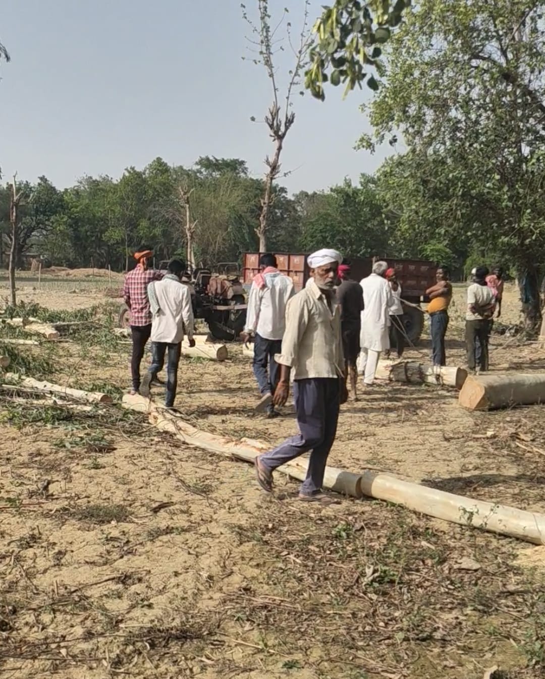 न्यायालय में विचाराधीन भूमि पर पेड़ कटने का आरोप, तहसील प्रशासन की कार्रवाई पर उठे सवाल