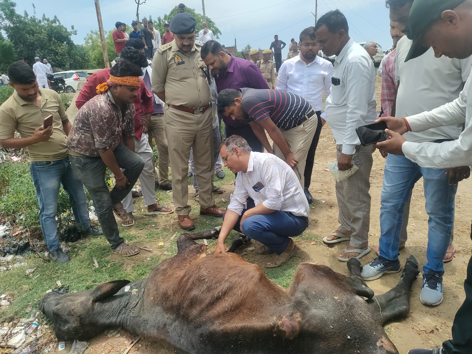 नदी मे गाय का शव मिलने से मचा हड़कंप, प्रशासनिक अमला पहुंचा मौके पर, पोस्टमार्टम रिपोर्ट का इंतजार
