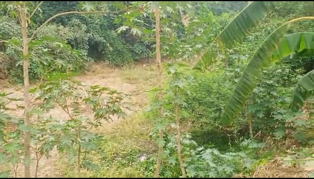 कागजों में दौड़ रही मनरेगा, धरातल पर सन्नाटा! पवई के जाफरपुर कतकान में उठे बड़े सवाल