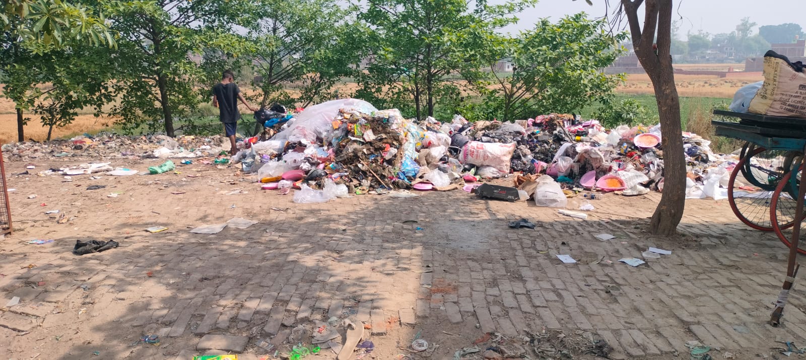कूड़े का कहर! तिरंगा चौराहा बना दुर्गंध का अड्डा, लोगों का जीना हुआ मुश्किल