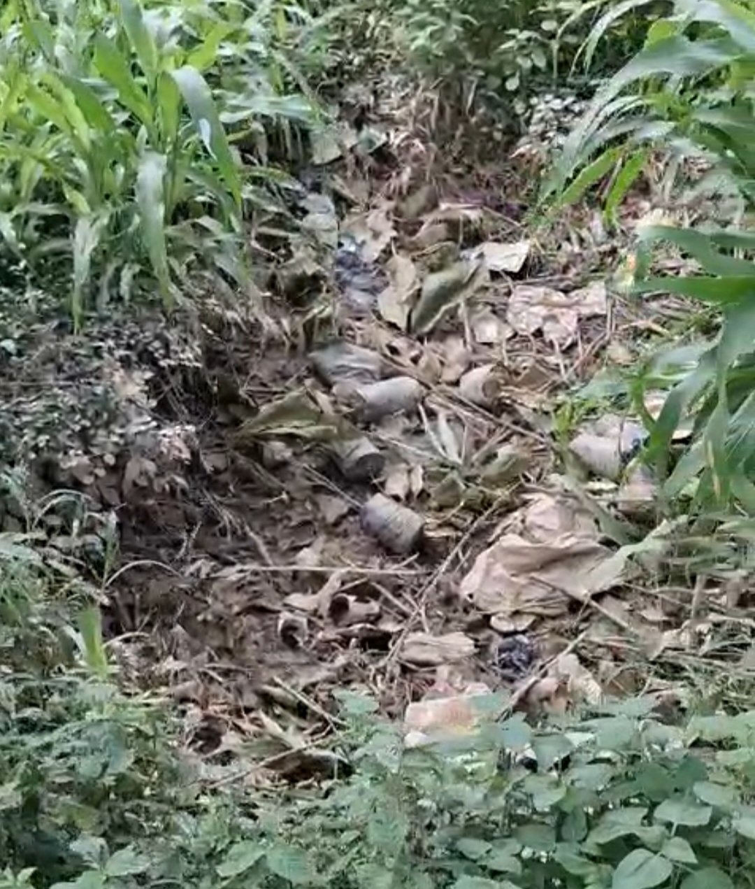 नलकूप खंड कार्यालय में लापरवाही उजागर: दफ्तर पर लटके मिले ताले, ‘एक पेड़ मां के नाम’ अभियान पर भी उठे सवाल
