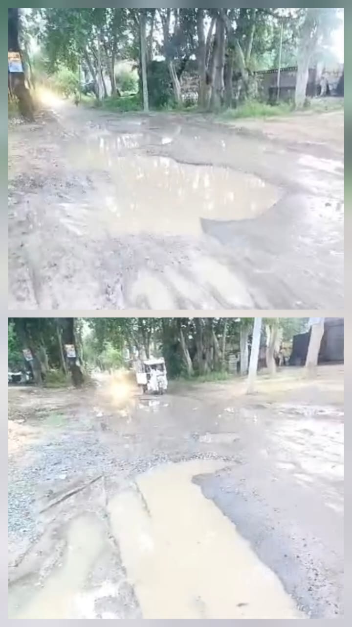 नगपुर अस्पताल जाने वाली सड़क बनी दर्द की राह, गड्ढों के बीच जिंदगी का सफर