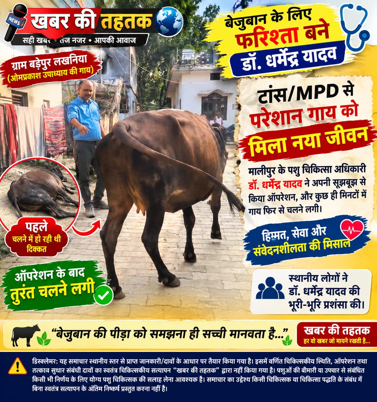 दर्द से कराह रही गाय को मिला जीवनदान, डॉक्टर धर्मेंद्र यादव की सूझबूझ से सफल ऑपरेशन