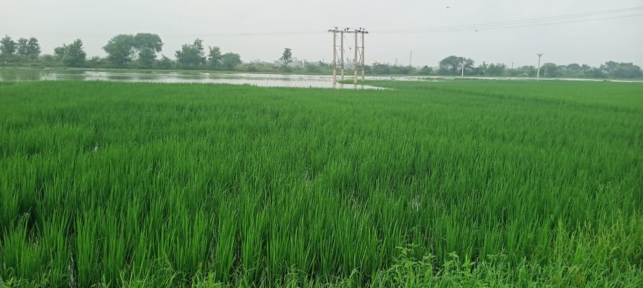 आंधी-तूफान और बारिश ने बिगाड़ी बिजली व्यवस्था, अंधेरे में रात गुजारने को मजबूर हुए लोग