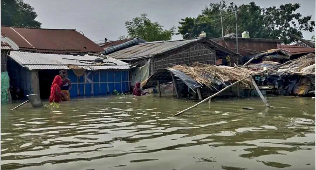 घर बने तालाब, सड़कें बनीं नदी… 6 फीट पानी के बीच जिंदगी! नाव बनी सहारा, बिहार के नवगछिया में बाढ़ से हाहाकार